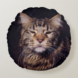 Coussins Ronds maine coon sur un arrière - plan noir