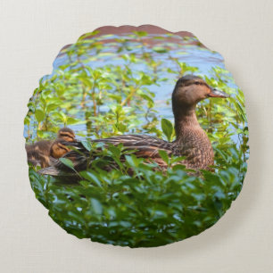 Coussins Ronds Mallard et canettes-Natation par Shirley Taylor