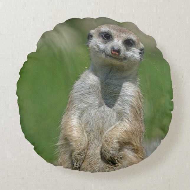 Coussins Ronds Meerkat 013 (Devant)