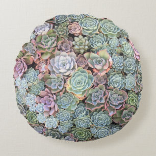 Coussins Ronds Mélange succulent Sempervivum de jardin