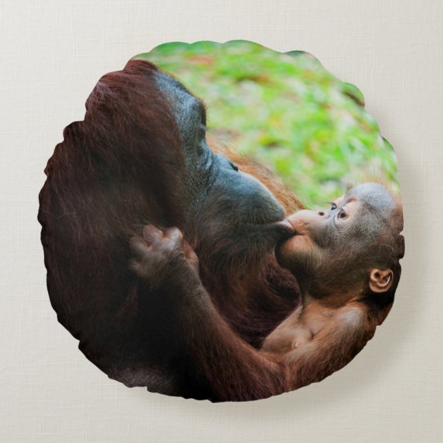 Coussins Ronds Mère orang-outan et bébé (Devant)