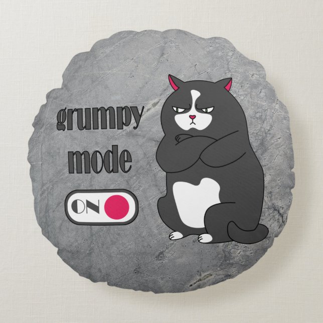 Coussins Ronds Mode grumeux sur drôle de gros chat (Devant)