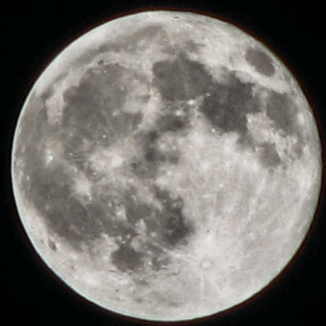 COUSSINS RONDS MOMZMOON (Créateur téléchargé)