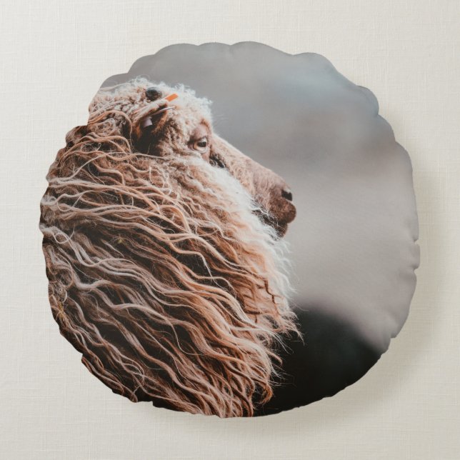 COUSSINS RONDS MOUTON (Devant)