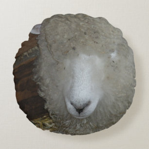 Coussins Ronds Moutons à la foire du comté