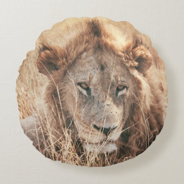 COUSSINS RONDS MR LE ROI LION (Devant)