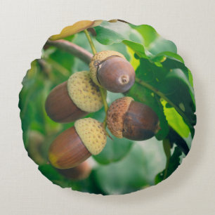 Coussins Ronds Oak branches with acorns