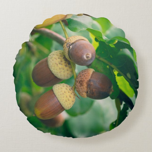 Coussins Ronds Oak branches with acorns (Devant)