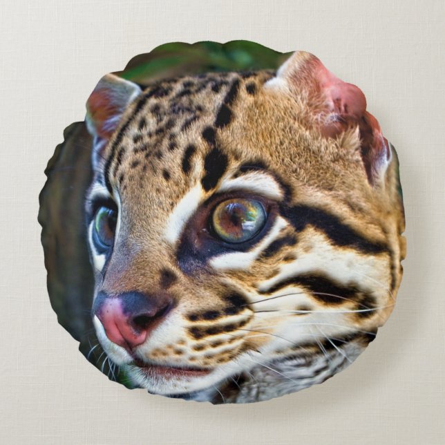 Coussins Ronds Ocelot - Mini Jaguar sauvage (Devant)