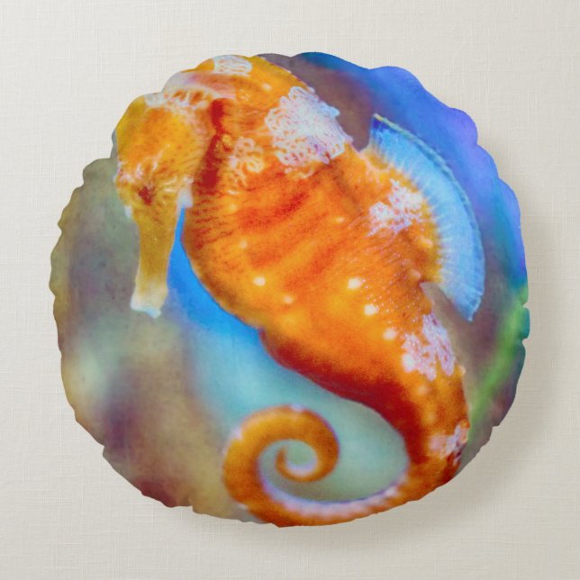 Coussins Ronds Orange Seahorse délice (Devant)