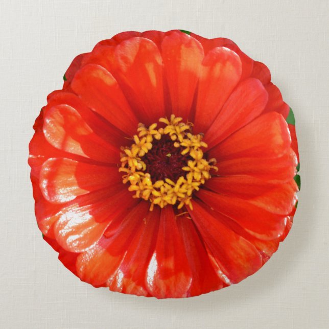 Coussins Ronds Orange Zinnia (Devant)