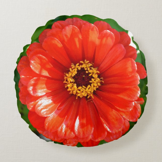 Coussins Ronds Orange Zinnia (Devant)