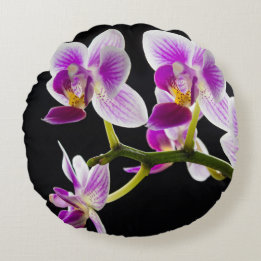 Coussins Ronds Orchidée blanche et violette