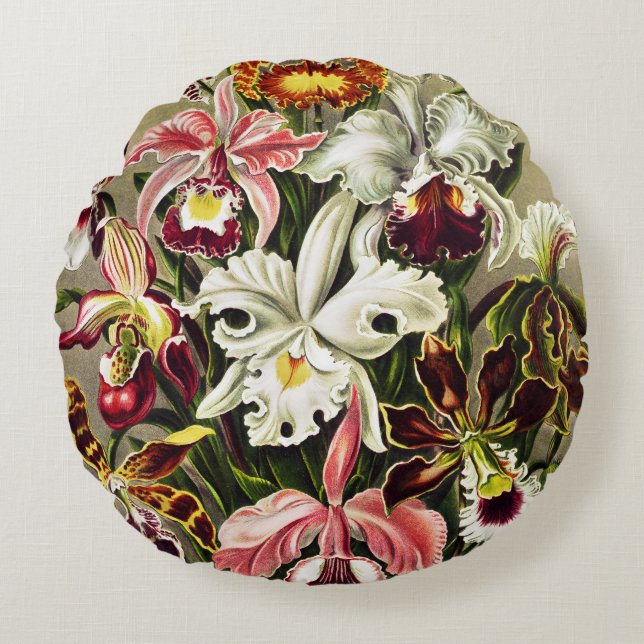 Coussins Ronds Orchidées, Orchidée Denusblumen Ernst Haeckel (Devant)