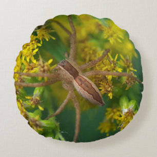 Coussins Ronds Oreiller Araignée de Nourrice