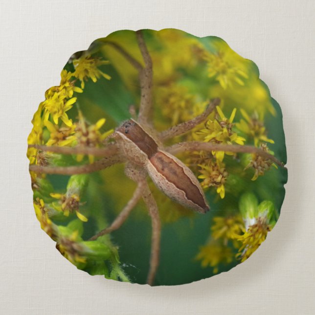 Coussins Ronds Oreiller Araignée de Nourrice (Devant)
