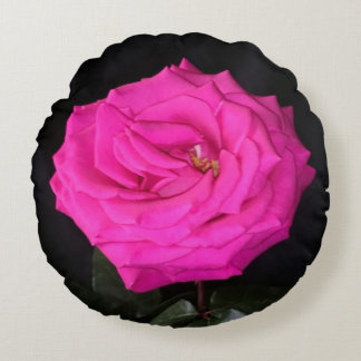 Coussins Ronds Oreiller jeté rond à rose rose simple