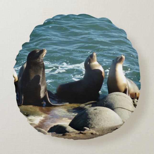 Coussins Ronds Otaries de San Diego (Devant)