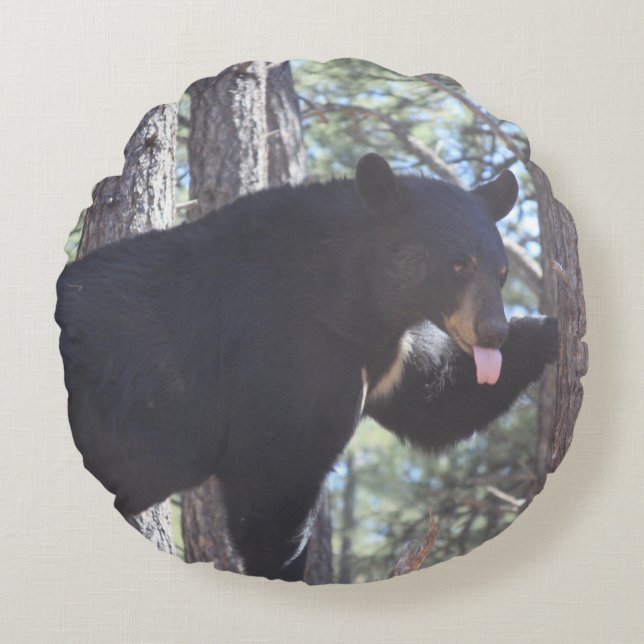 Coussins Ronds Ours noir (Devant)