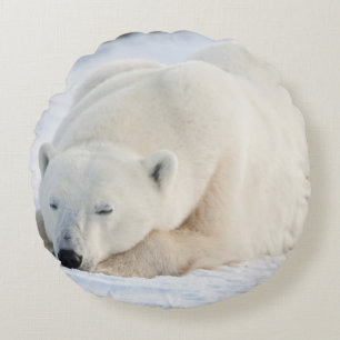 Coussins Ronds Ours polaire en hiver
