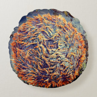 Coussins Ronds Oursin