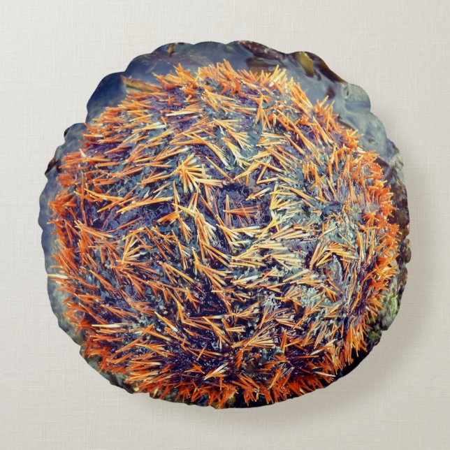 Coussins Ronds Oursin (Devant)