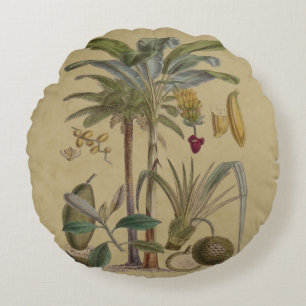 Coussins Ronds Palm Antique Fruit Tropical Art Botanique