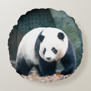 COUSSINS RONDS PANDA DE MARCHE DEVANT UN BÂTIMENT EN BÉTON