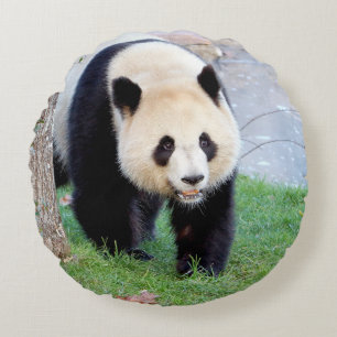 Coussins Ronds panda, le géant de la photo coussin.