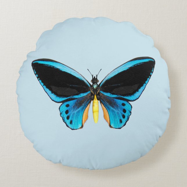 Coussins Ronds Papillon Birdwing (Devant)