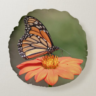 Coussins Ronds Papillon Monarque sur une fleur d'orange