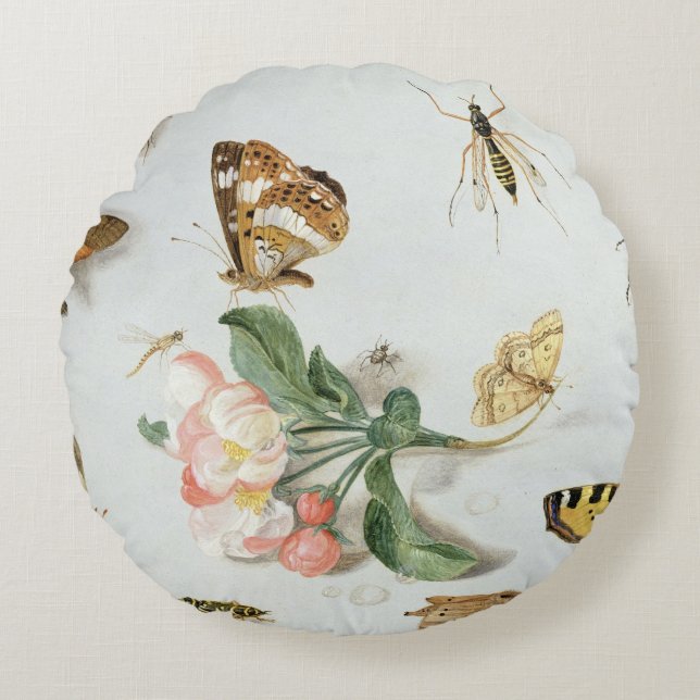 Coussins Ronds Papillons, mites et d'autres insectes (Devant)