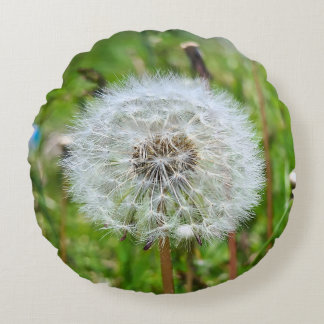 Coussins Ronds Parfaite dent-de-lion – Photographie botanique mac