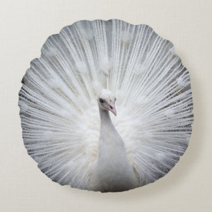 Coussins Ronds Peacock20160401