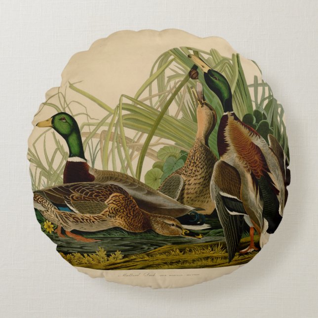 Coussins Ronds Peinture d'oiseaux de Mallard Duck Audubon (Devant)