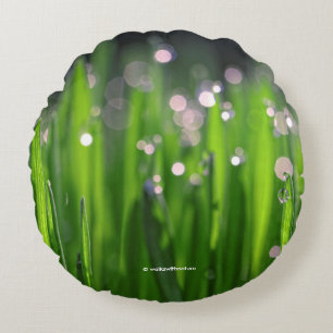 Coussins Ronds Pelouse bedebée dans la lumière du matin