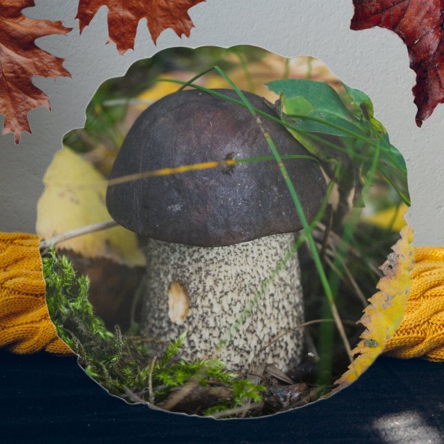 Coussins Ronds Petit champignon mignon (Créateur téléchargé)