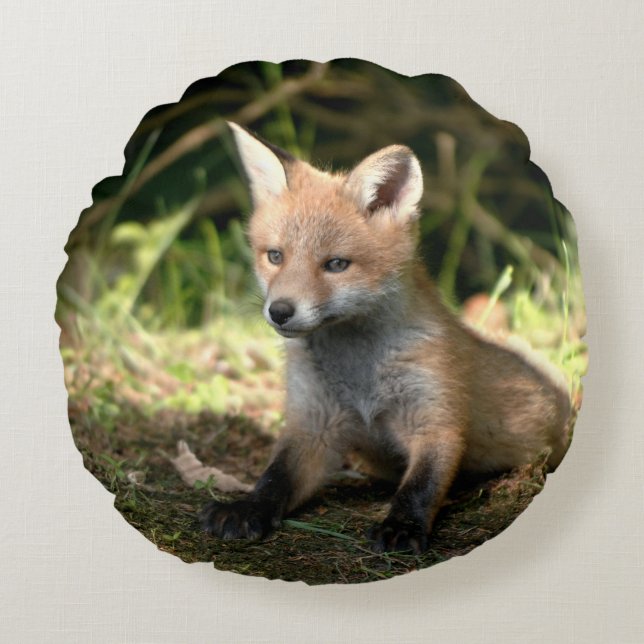 Coussins Ronds Petit Cub (Devant)