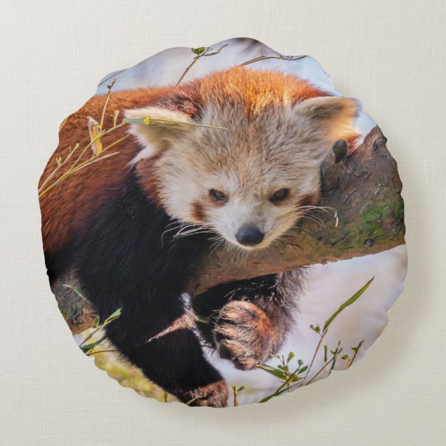 Coussins Ronds Petit panda rouge pâle (Dos)