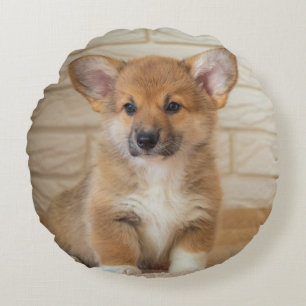 Coussins Ronds Photo de chien Corgi