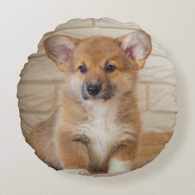 Coussins Ronds Photo de chien Corgi (Devant)