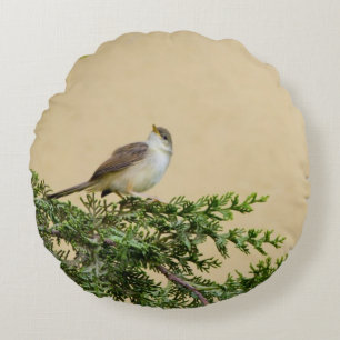 Coussins Ronds Photographie charmante d'un oiseau moineau