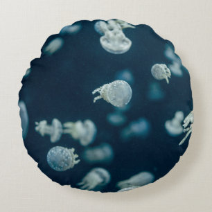 COUSSINS RONDS PHOTOGRAPHIE COMPLÈTE DE JELLYFISH