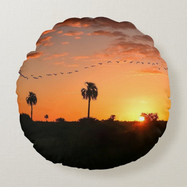 Coussins Ronds Pilote de lancer de forme ronde (Devant)