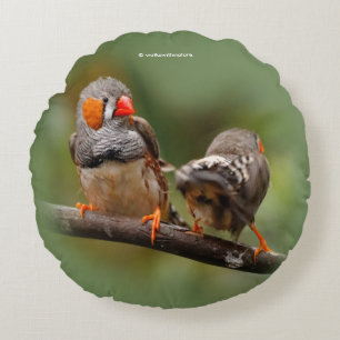 Coussins Ronds Pinsons zèbres effrontés oiseaux chanteurs sur une