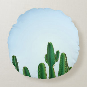 Coussins Ronds Plante cactus vert en arrière - plan blanc
