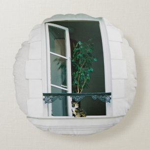 COUSSINS RONDS PLANTE VERT SUR FENÊTRE BLANCHE