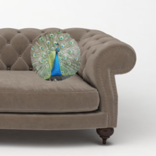 Coussins Ronds Plumage bleu Peacock