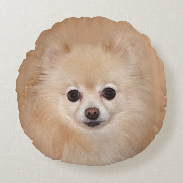Coussins Ronds Pomeranian font face (Devant)