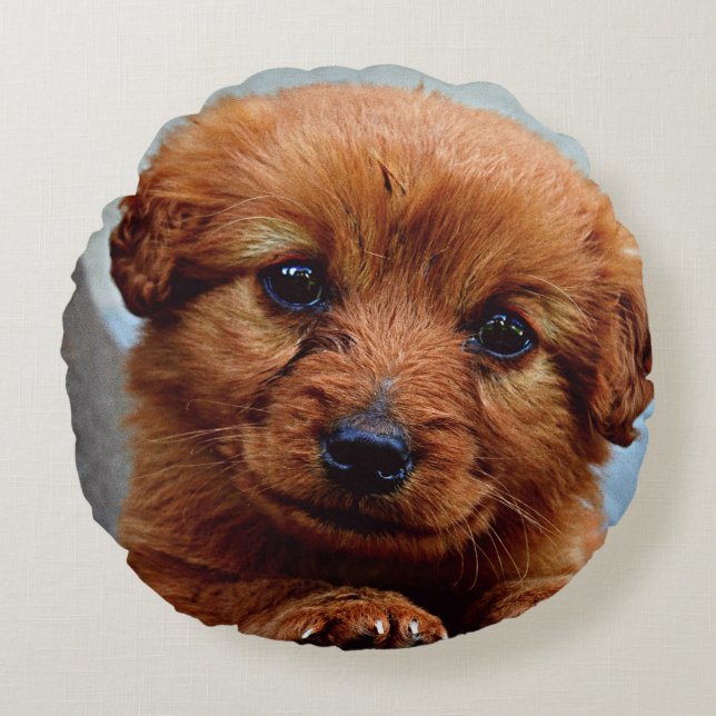 Coussins Ronds Portrait brun mignon de chiot (Devant)